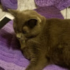 Meet your Posher, Teresa